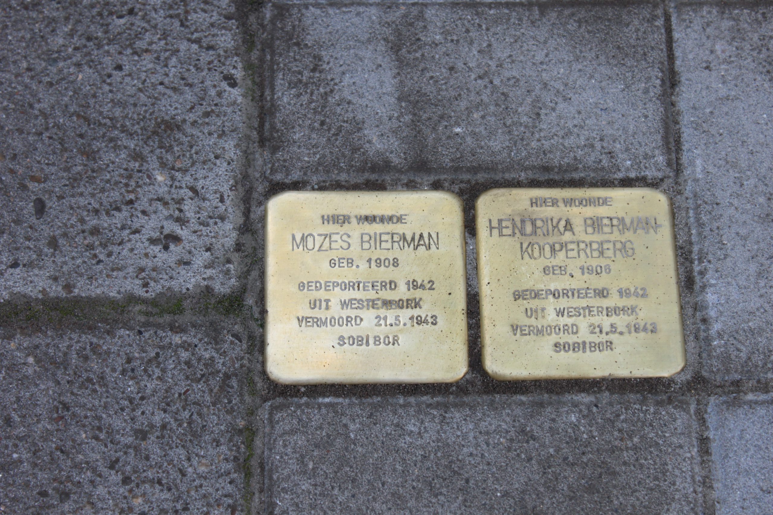 Bierman-1.2014-scaled