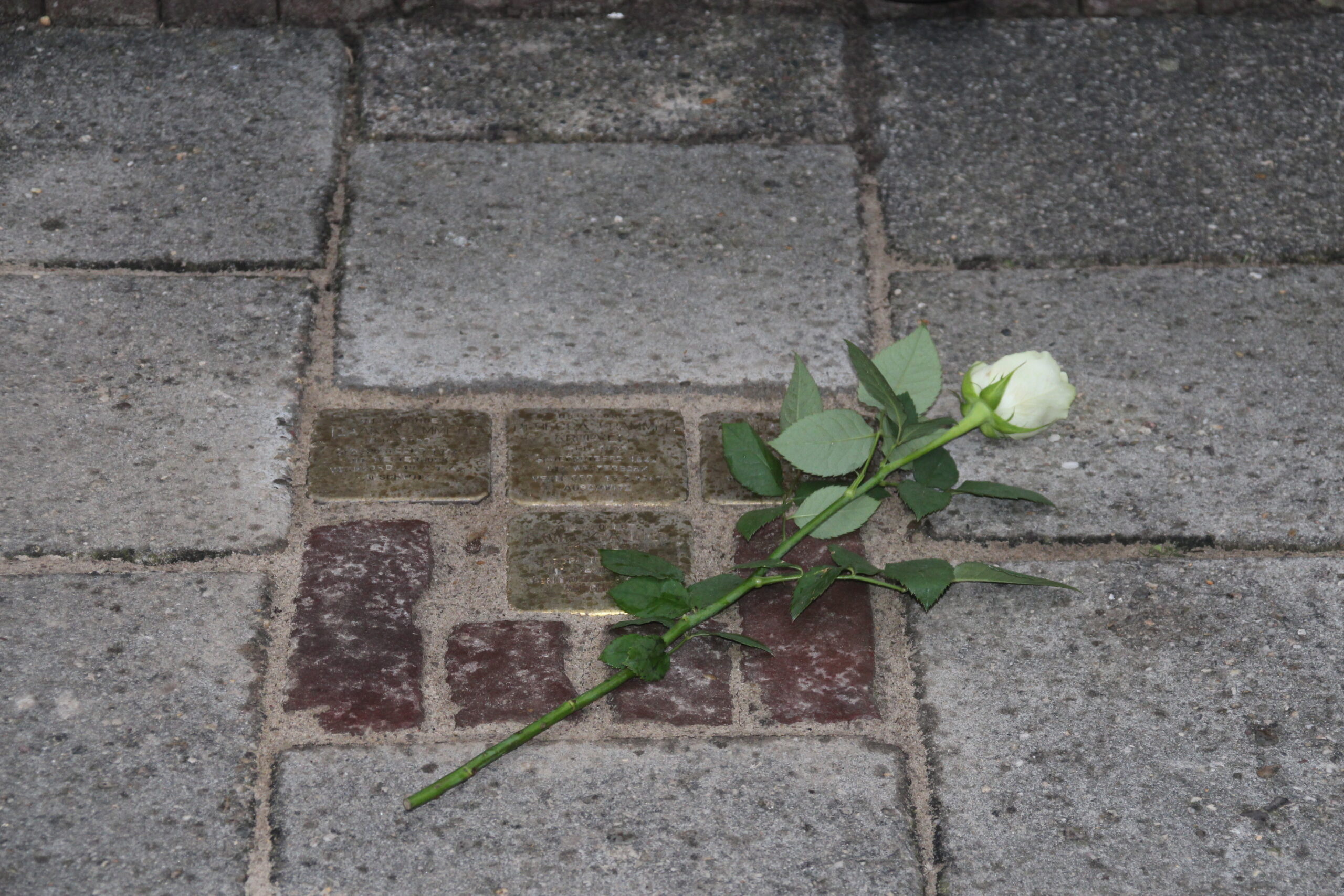 Sallandsestraat-33-2