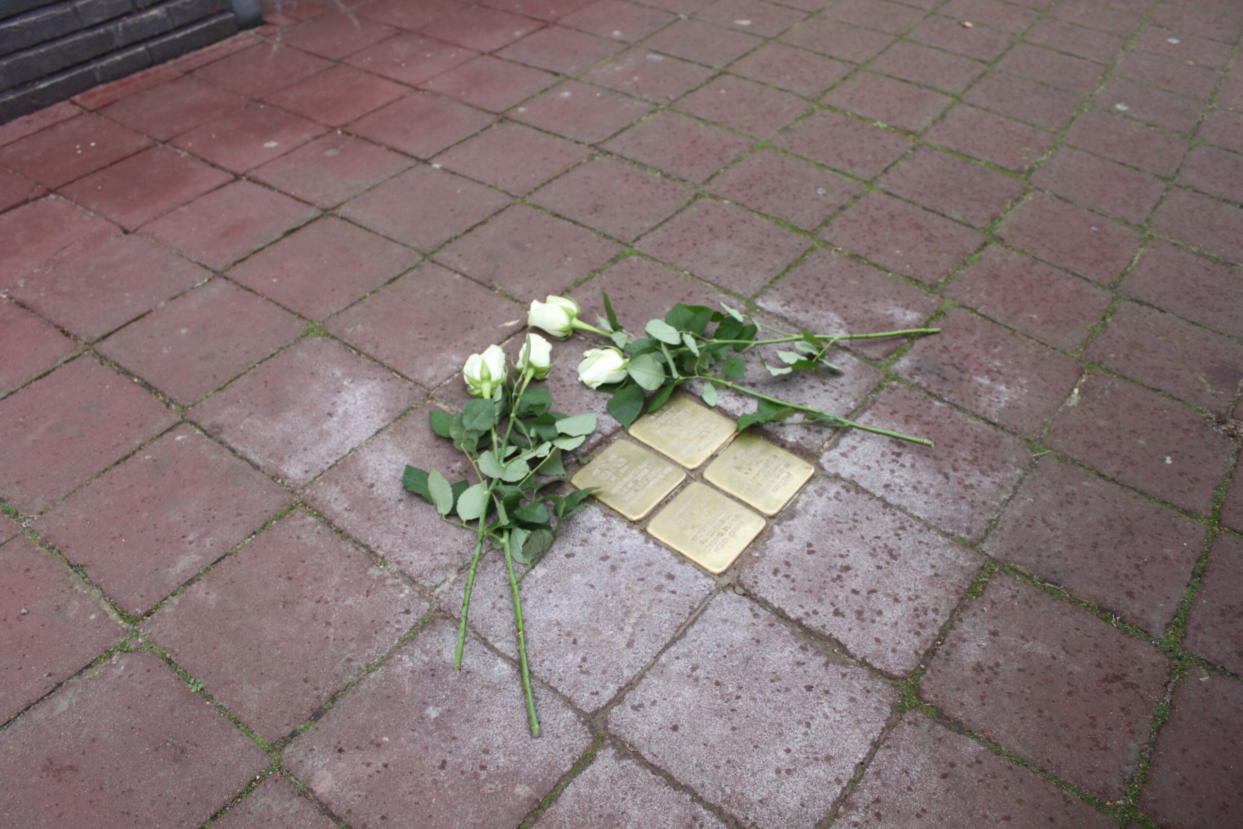 bentheimerstraat4-1