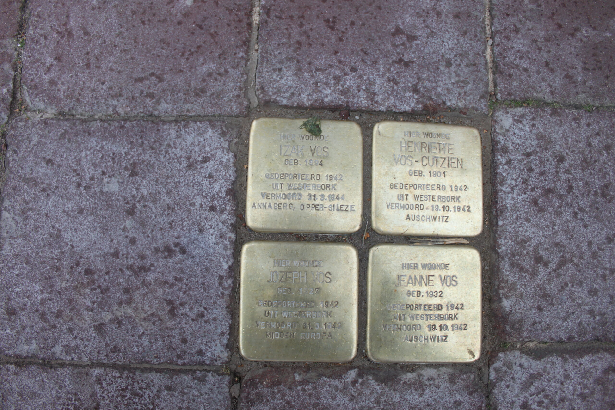 bentheimerstraat54a